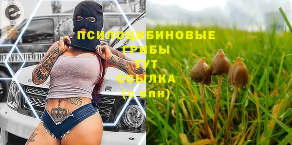 бутират Алексин