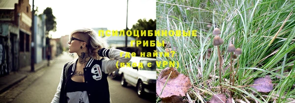 бутират Алексин
