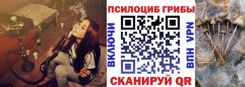 Псилоцибиновые грибы мухоморы  наркошоп  Шумиха 